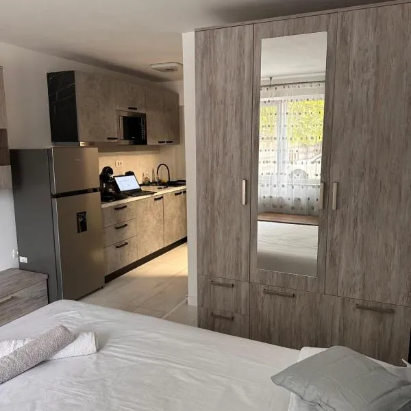 Cozy and quiet apartment, hotel di Arad