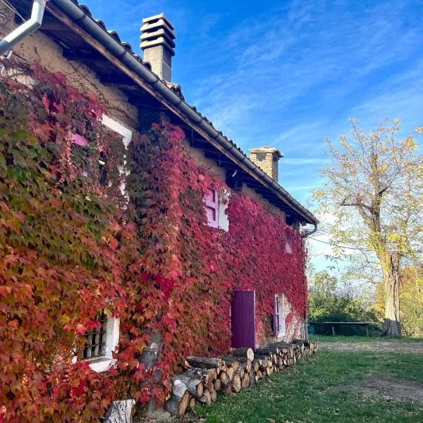 Appartamento immerso nella natura, silenzio e riservatezza a 550 m di quota: Langhirano'da bir otel