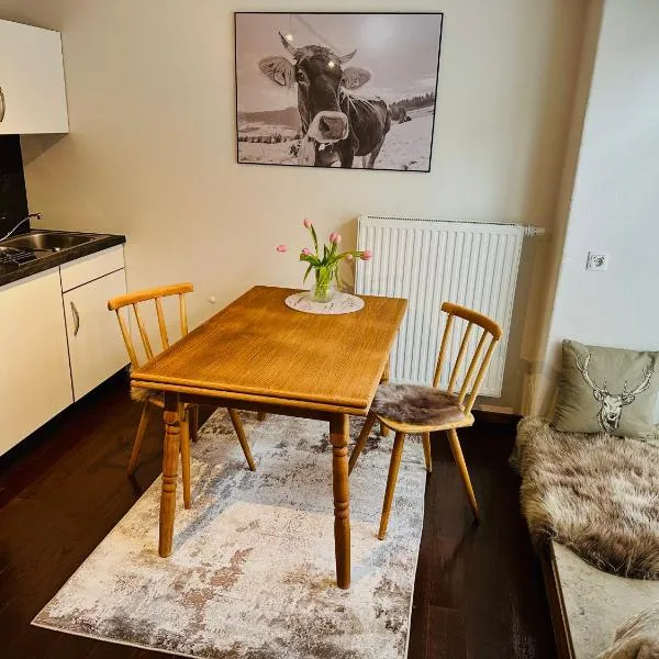 BERGLIEBE - Wunderschöne Wohnung in Kempten - Stadtmitte – hotel w mieście Kempten