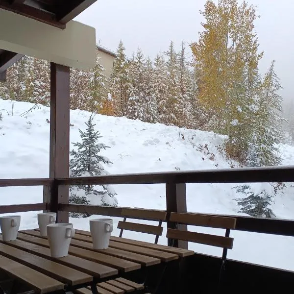 les chalets de puy st vincent – hotel w mieście Puy-Saint-Vincent