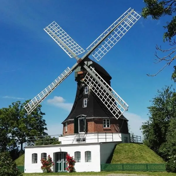 Windmühle Catharina, hótel í Oldenswort