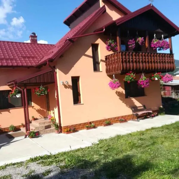 Casa Ionela, hotel v destinaci Câmpulung Moldovenesc