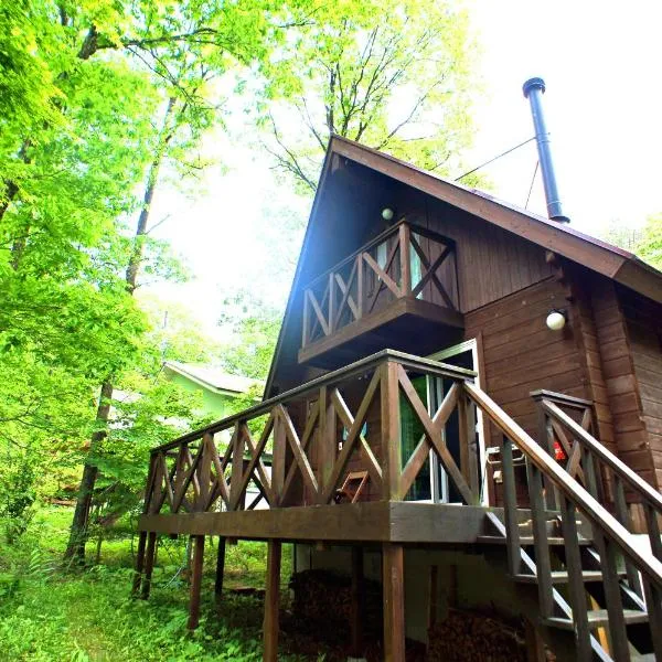 HARUNA LODGE Private log house with starry sky from the skylight, fireplace, and spacious deck BBQ, hotel v destinaci Nasu