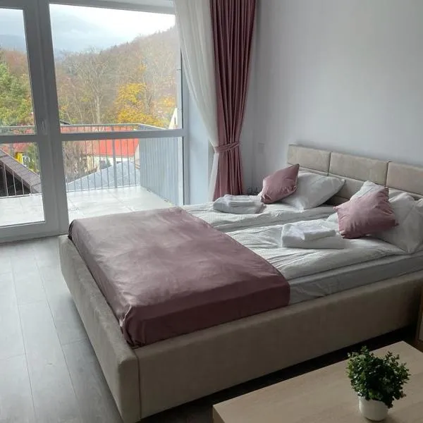 AVA Studio Sinaia, khách sạn ở Sinaia