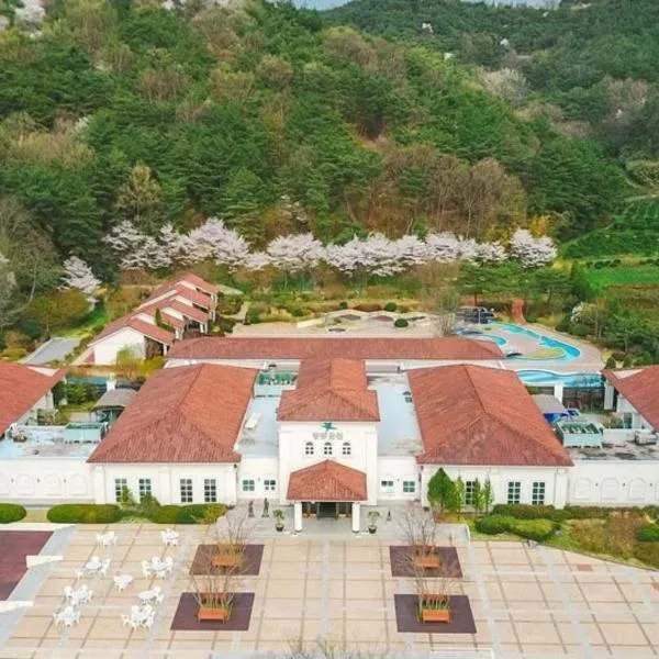 Damyang Spa and Tourist Hotel, hotel v destinaci Damyang