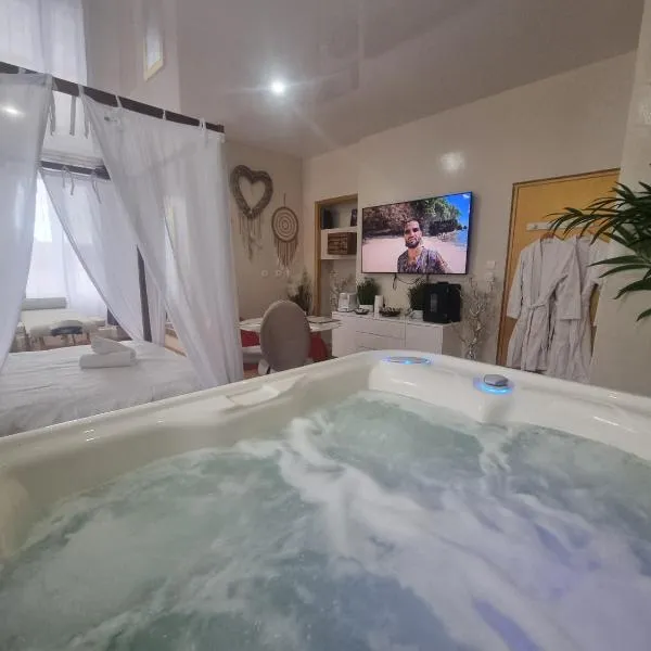 Les Spa de Venus suites avec jacuzzi spa privatif, hotel en Charavines