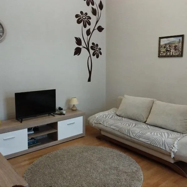 Family Stay in Lviv (2 Rooms + Kitchen), hotel em Kulʼparkuv