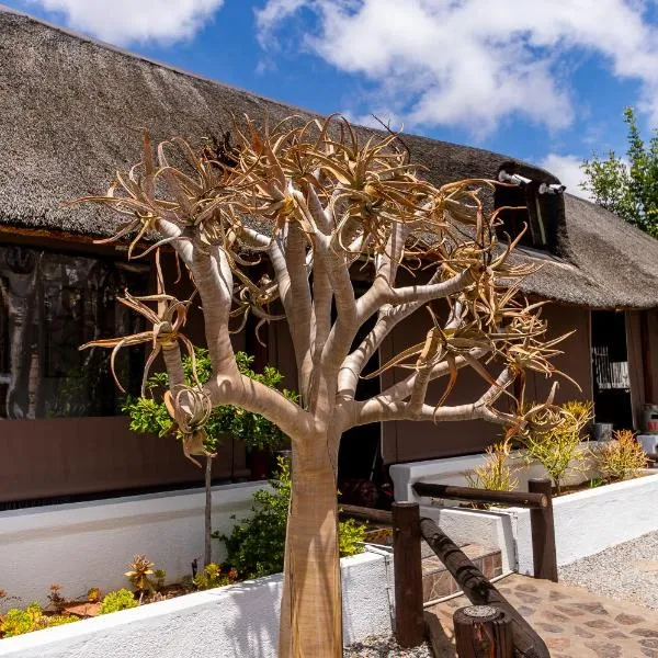 Kleinplasie Guesthouse, hotel a Springbok