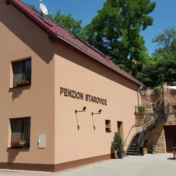 Penzion Starovice, hotel Starovicében