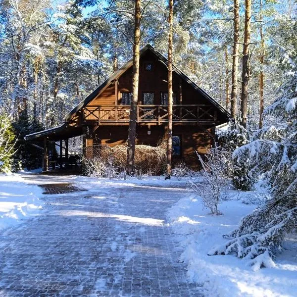 Leśna ostoja nad Pilicą, hotel in Warka