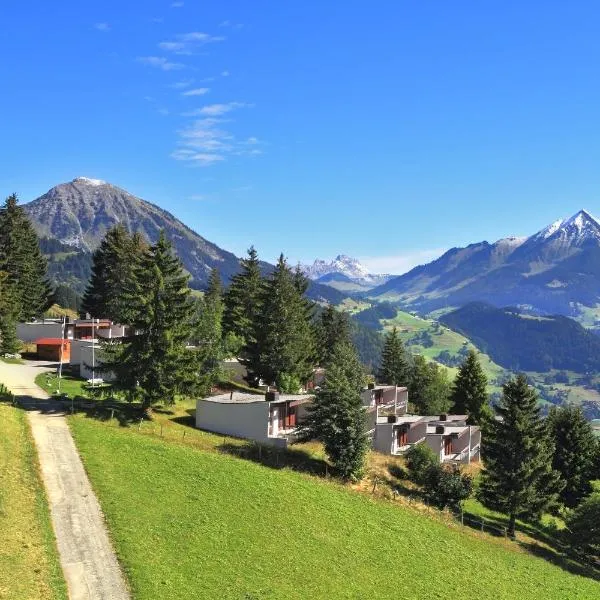Leysin Lodge, hotel v destinaci Leysin