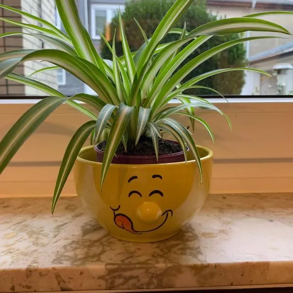 오스터로데에 위치한 호텔 Ferienwohnung Röder