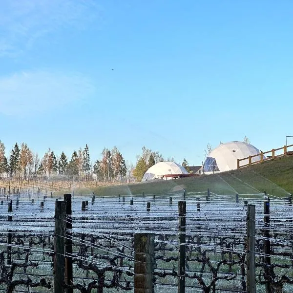 Glamping Dome - Pinot, отель в городе Queensberry