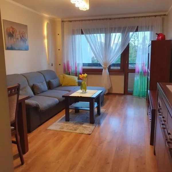 야보주노에 위치한 호텔 Apartament Daria