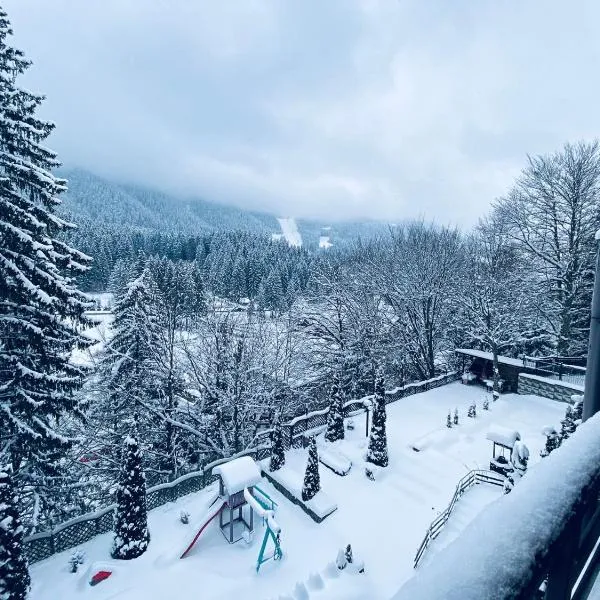 포이아나 브라쇼브에 위치한 호텔 Royal Boutique Hotel Poiana Brasov