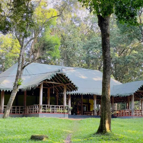 900 Woods Wayanad Eco Resort - A Sprawling Jungle Stay near Glass Bridge, hotell sihtkohas Meppādi