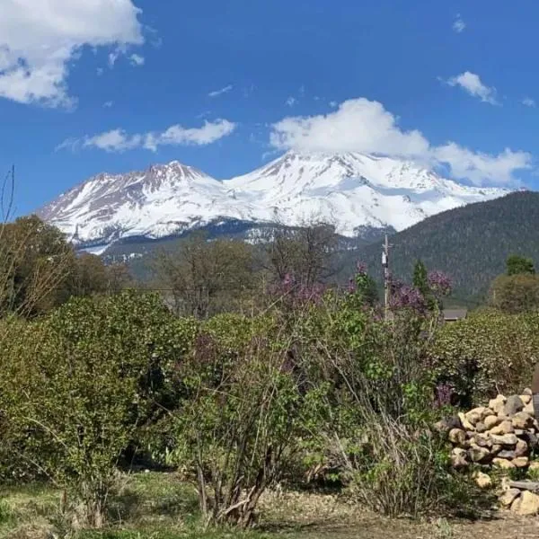Angel cottage with a sauna or The Cozy with a jacuzzi tub, both are studios with a view of Mount Shasta, hotel v destinaci Mount Shasta