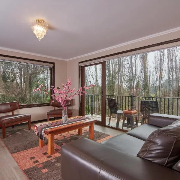 mirabosque new aparments 4, hotel i Osorno