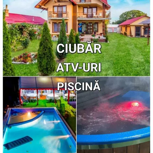 Pensiunea Mariana, hotel v destinaci Baia de Fier
