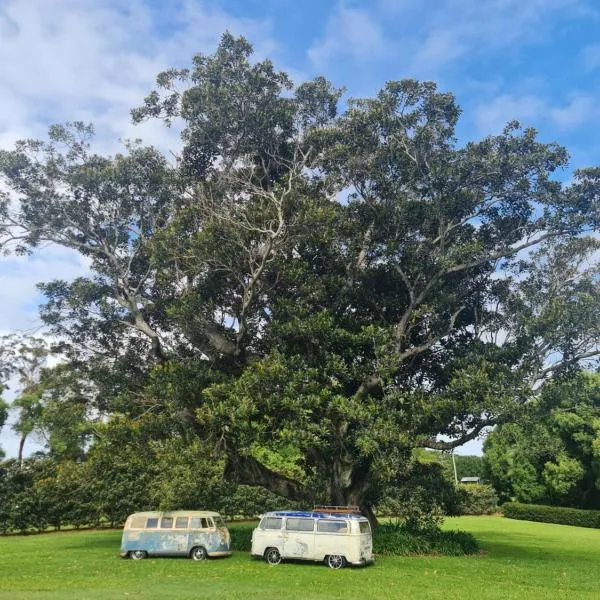 Cedia at Byron Bay Hinterland, hotel v mestu Coorabell Creek