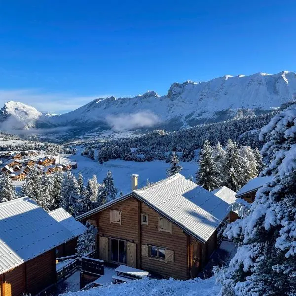 La joue du loup Bord des pistes - Chalet en bois de charme pour 10 personnes, khách sạn ở Le Dévoluy