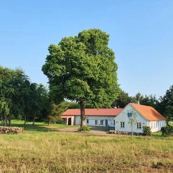 Slotsgaardens feriegård., hotel u gradu Rødding