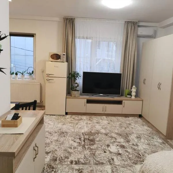 Studio Green Modern!, hotel en Suceava