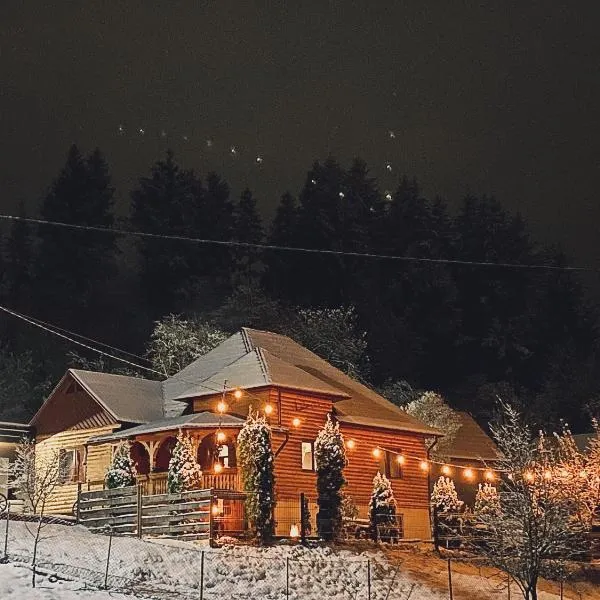 Cabana Elena, hotel in Borşa