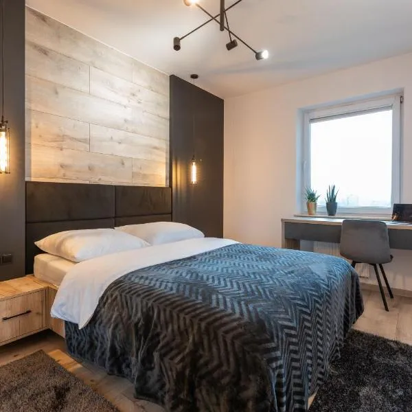 Vip Apartament z klimatyzacją Lubelska, hotel in Głogów Małopolski