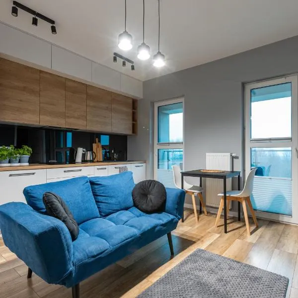 VIP Apartament Wołyńska、ジェシュフのホテル