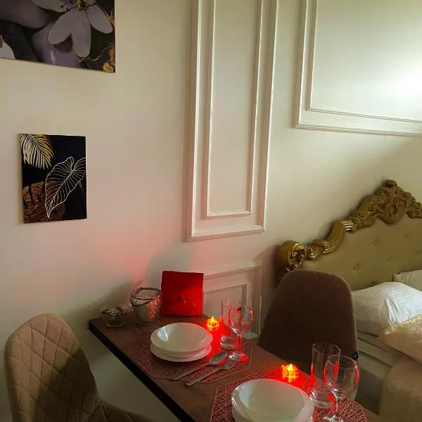 Vintage apartment Kotlyarska10, hotel in Lviv