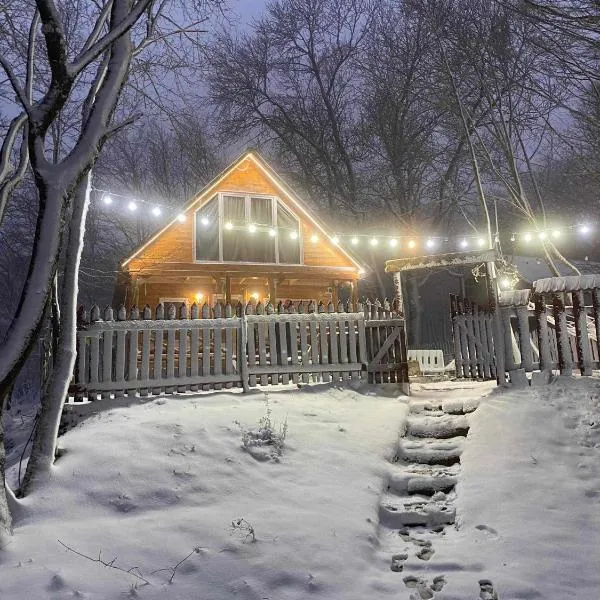 Wooden House Kopiti, hotel v destinaci Tbilisi City