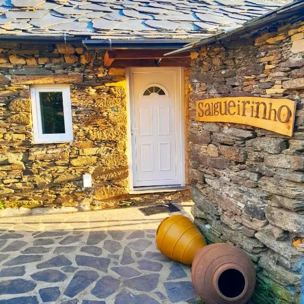 Casa do Salgueirinho，Teixeira de Baixo的飯店