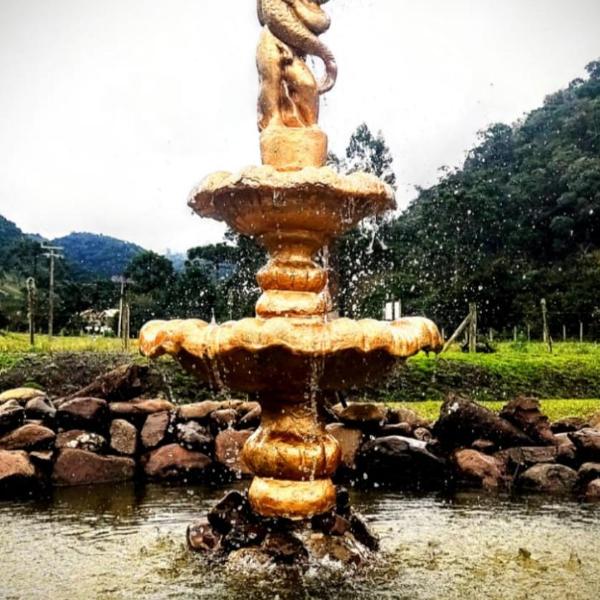 Pousada Nó de Pinho - Foto 4