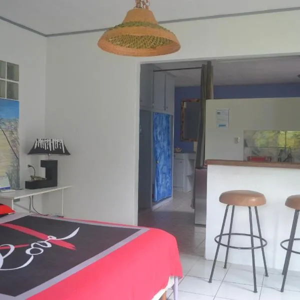 faré apî, hotel v destinaci Mataiea