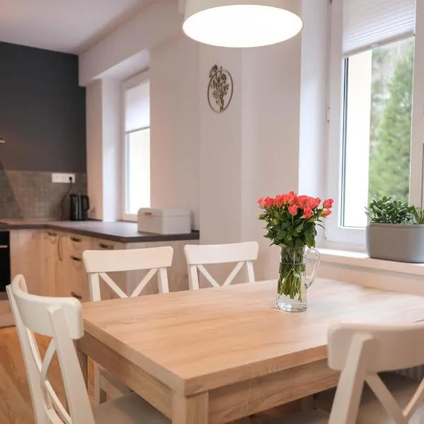 Apartment Schober - Rezidence K Lanovce, hotel a Jáchymov