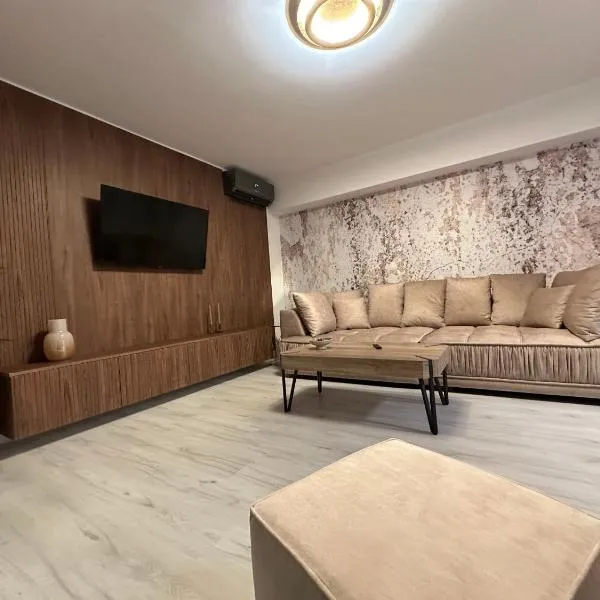 Luxury apartment , Private parking, Self Check-in64, hotel in Bădoşi