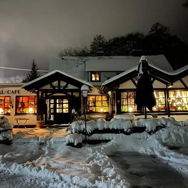 Hotel zum Forsthaus, hotel en Willingen