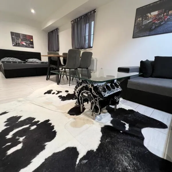 Apartmány Pískovna Assen, hotel v Ostravě