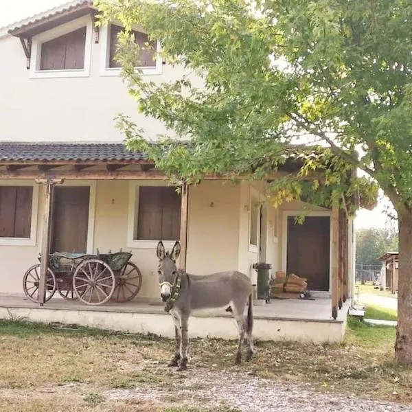 Το σπίτι στο αγρόκτημα, hotel en Gómfoi