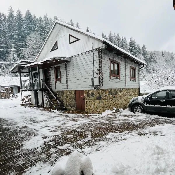 Sadyba Dana, hotel sa Tatariv