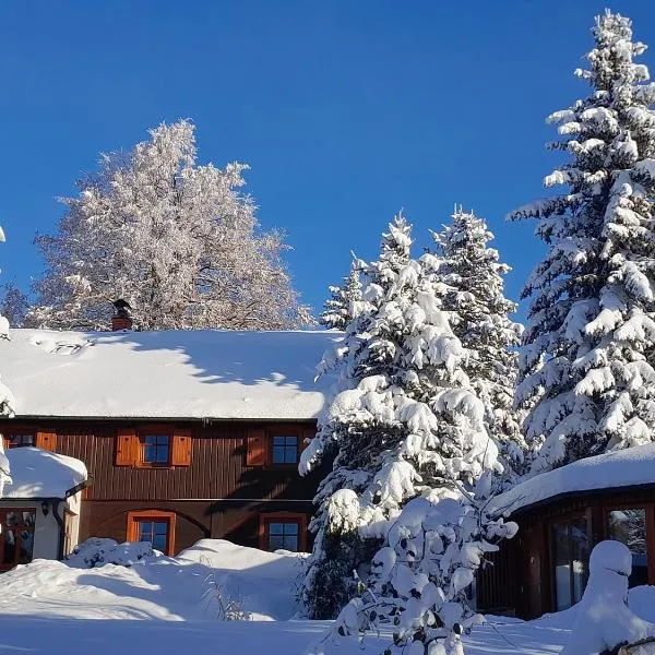 Guest House Sněžník, hotel in Sněžnik