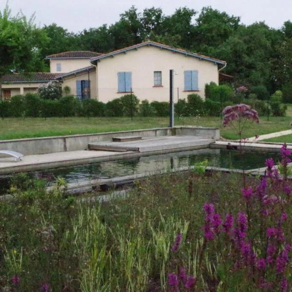 La Maison de Lestang, hotel in Montbeton