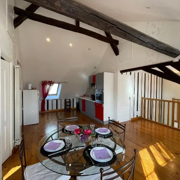 Appart' Privé à Issoudun : Confort et Style, hotel in Issoudun