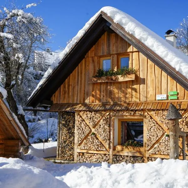 Hike & Bike Chalet, hotel in Bohinj