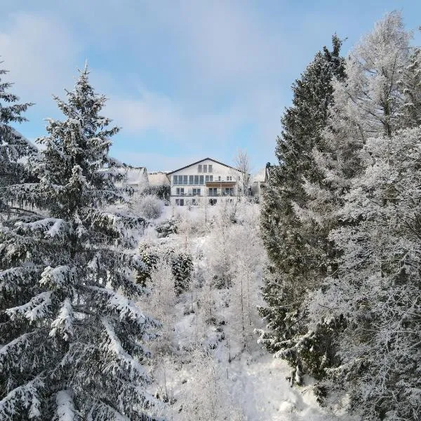 Landhotel Fernsicht, hotel a Winterberg