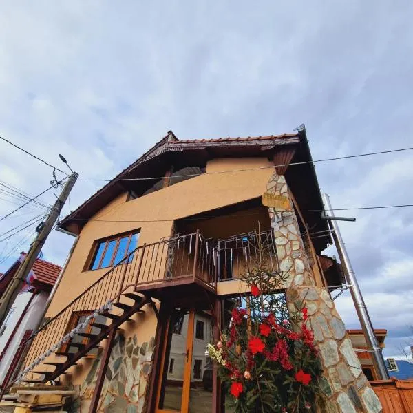 Pensiunea Sălaș, hotel v destinaci Sălaşu de Sus