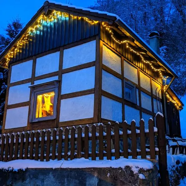 Arode Hütte Harzilein - Romantic tiny house on the edge of the forest, hotel in Zorge