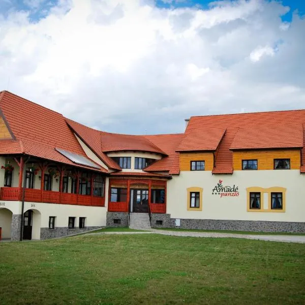 Amadé Pension, hotel em Siculeni