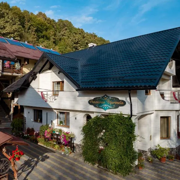 Pensiunea Marinela, hotel in Năneşti